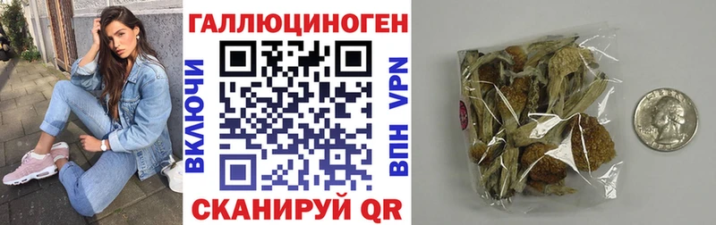 Галлюциногенные грибы Magic Shrooms  Купить закладки  Когалым 